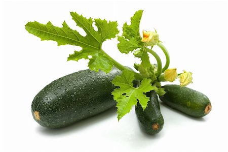 Fresh washed zucchini bunch (Cucurbita pepo) Stock Photo - Budget Royalty-Free & Subscription, Code: 400-05096343