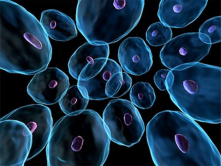 3d rendered close up of cells with nucleus Stock Photo - Budget Royalty-Free & Subscription, Code: 400-05096758