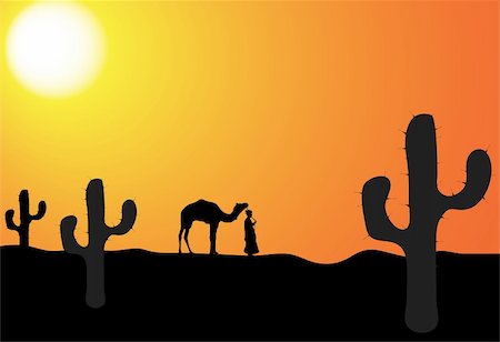 desert sunset landscape cactus - man with camel in the desert, vector illustration Stock Photo - Budget Royalty-Free & Subscription, Code: 400-05098608