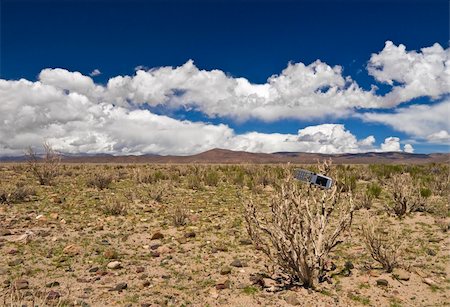 A cellphone abandoned on a dead plant in the desert. Stock Photo - Budget Royalty-Free & Subscription, Code: 400-05099590