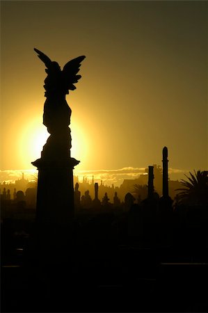 angel silhouette, black and yellow tonality; sydney cemetery Stockbilder - Microstock & Abonnement, Bildnummer: 400-05090307