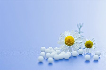 Chamomile flower and homeopathic medication on blue surface Stock Photo - Budget Royalty-Free & Subscription, Code: 400-05091644