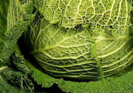 fresh cabbage Stock Photo - Budget Royalty-Free & Subscription, Code: 400-05091881