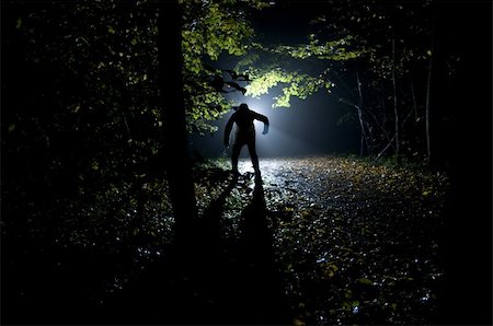 simsearch:400-04255649,k - Siluette of man in the forest on the night Foto de stock - Royalty-Free Super Valor e Assinatura, Número: 400-05091998