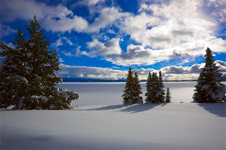 Yellowstone National Park Lake covered with snow in winter Foto de stock - Super Valor sin royalties y Suscripción, Código: 400-05093137