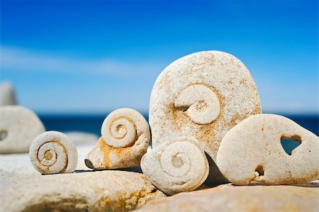 simsearch:632-05760310,k - Sea pebble with the hardened spirals on a beach at midday Foto de stock - Super Valor sin royalties y Suscripción, Código: 400-05093826