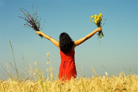 Woman in red dress picking yellow and blue  flowers in the field of wheat Stock Photo - Budget Royalty-Free & Subscription, Code: 400-05106535