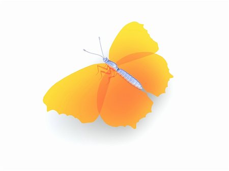 simsearch:400-05254138,k - 3d Butterfly Foto de stock - Royalty-Free Super Valor e Assinatura, Número: 400-05108584