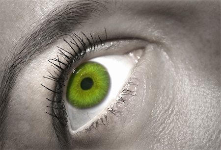 simsearch:400-04624558,k - close-up of a green female eye, very shallow DOF Foto de stock - Super Valor sin royalties y Suscripción, Código: 400-05109264