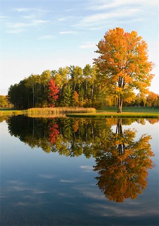 Reflection of the fall colors Foto de stock - Royalty-Free Super Valor e Assinatura, Número: 400-05101539