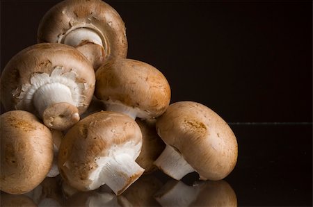 portobello-pilz - Baby portabella mushrooms sitting on glass with reflection. Stockbilder - Microstock & Abonnement, Bildnummer: 400-05102311