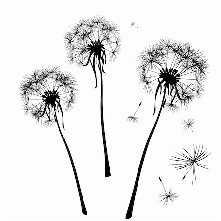 two dandelions in wind on light blue background Stock Photo - Budget Royalty-Free & Subscription, Code: 400-05102930