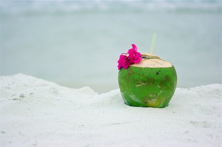 simsearch:400-05097850,k - Coconut on the sandy beach in Thailand Stockbilder - Microstock & Abonnement, Bildnummer: 400-05103006