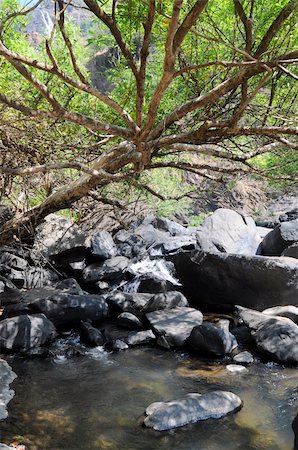 simsearch:400-04424246,k - Small mountaineous river (creek) with waterfall in forest Foto de stock - Super Valor sin royalties y Suscripción, Código: 400-05103034