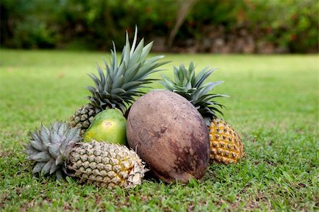 pineapple growing - Tropical fruit on green grass Stock Photo - Budget Royalty-Free & Subscription, Code: 400-05103622