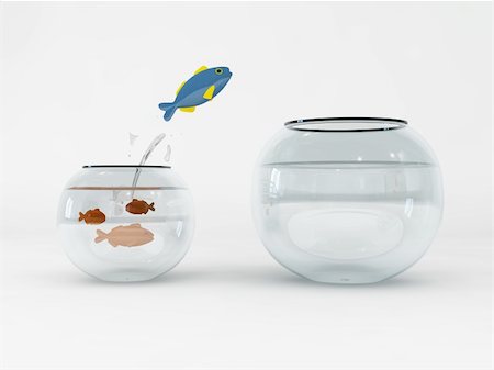 fish jumping in a bigger bowl Stock Photo - Budget Royalty-Free & Subscription, Code: 400-05103728