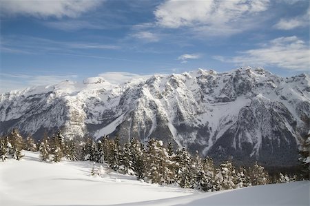 simsearch:400-04472958,k - winter landscape - photo taken in italian dolomites Foto de stock - Royalty-Free Super Valor e Assinatura, Número: 400-05114089