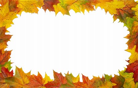 simsearch:400-04360457,k - Frame with colored autumn maple leaves - white background Photographie de stock - Aubaine LD & Abonnement, Code: 400-05114116