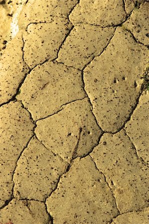 simsearch:400-04634607,k - dry land after a long dry spell without water Fotografie stock - Microstock e Abbonamento, Codice: 400-05114326