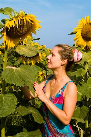 simsearch:400-05114620,k - Young woman between big sunflowers  at sunny day Stock Photo - Budget Royalty-Free & Subscription, Code: 400-05114620