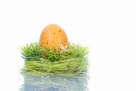 yellow egg in green nest isolated on white background - easter concept Photographie de stock - Aubaine LD & Abonnement, Code: 400-05116064