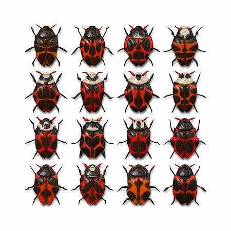 simsearch:400-06560180,k - An illustration of 16 different red bugs Stock Photo - Budget Royalty-Free & Subscription, Code: 400-05117139