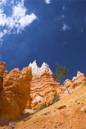 Rare rock formations of Bryce Canyon National park Stock Photo - Budget Royalty-Free & Subscription, Code: 400-05119017
