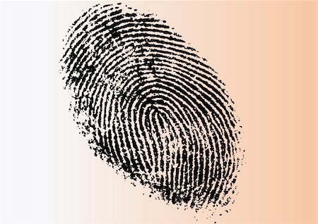 simsearch:400-04485595,k - Black and White Vector Fingerprint - Very accurately scanned and traced ( Vector is transparent so it can be overlaid on other images, vectors etc.) Foto de stock - Super Valor sin royalties y Suscripción, Código: 400-05119309