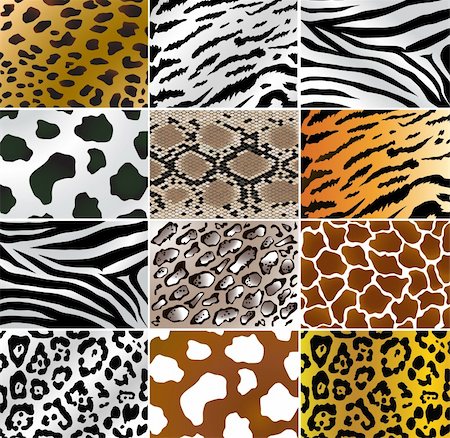 pitón - Illustation of different animals and snakes skins Foto de stock - Super Valor sin royalties y Suscripción, Código: 400-05119370