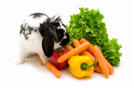 rabbit and vegetables on white background Stock Photo - Budget Royalty-Free & Subscription, Code: 400-05112582