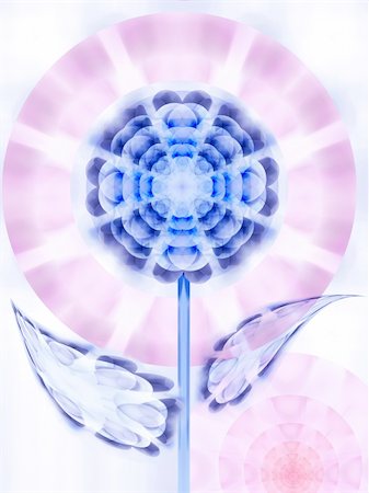 simsearch:695-05772848,k - Flower gently blue color on purple blue background, very much stylish Stockbilder - Microstock & Abonnement, Bildnummer: 400-05112650