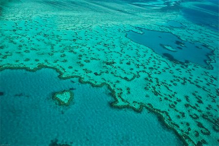 Heart Reef AUSTRALIA Photographie de stock - Aubaine LD & Abonnement, Code: 400-05113811