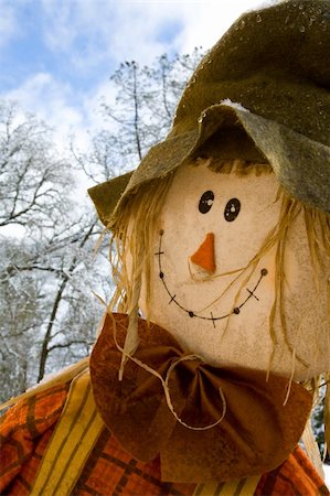 scarecrow farm - Closeup of Happy Scarecrow Face with Sky and Trees in Background Stock Photo - Budget Royalty-Free & Subscription, Code: 400-05125905