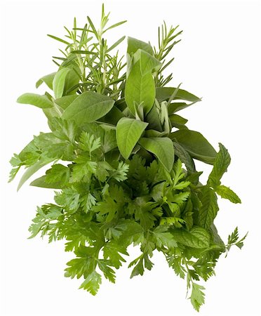 simsearch:6108-06168404,k - aromatic fresh herbs isolated on white background Stockbilder - Microstock & Abonnement, Bildnummer: 400-05125933