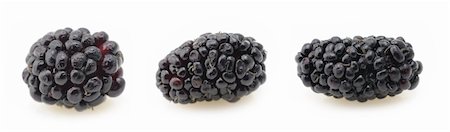 Close up of blackberries in isolated white background Foto de stock - Super Valor sin royalties y Suscripción, Código: 400-05126210