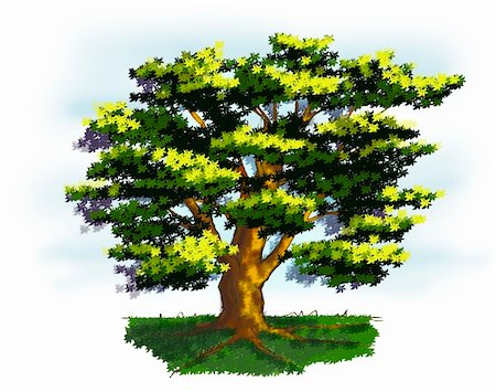 pinare (artist) - Colorful illustration of an old tree. Fotografie stock - Microstock e Abbonamento, Codice: 400-05126898