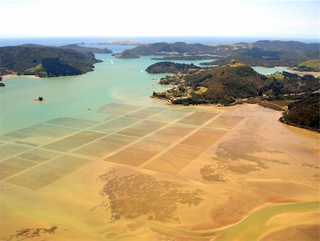 Aerial view of ocean agriculture in Whangaroa Harbour, Northland, New Zealand Foto de stock - Super Valor sin royalties y Suscripción, Código: 400-05127709