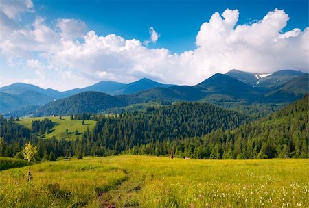 simsearch:400-05291390,k - Summer blossoming green mountainside (Carpathian Mt-s, Ukraine). Stock Photo - Budget Royalty-Free & Subscription, Code: 400-05128081