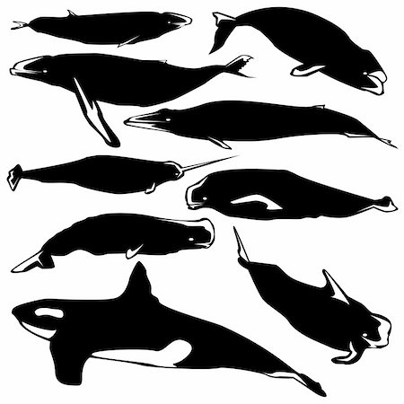 Graceful whales in vector silhouette with stylized illustration Stock Photo - Budget Royalty-Free & Subscription, Code: 400-05128364