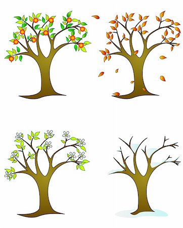 Four seasons – colorful trees Stock Photo - Budget Royalty-Free & Subscription, Code: 400-05128490