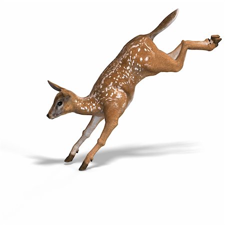 silvan - young doe or fawn With Clipping Path and shadow Stock Photo - Budget Royalty-Free & Subscription, Code: 400-05128875