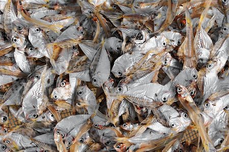 Rack of fish drying in the sun in Thailand Stock Photo - Budget Royalty-Free & Subscription, Code: 400-05129173