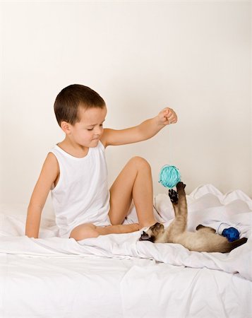Little boy playing with kitten on the bed Stock Photo - Budget Royalty-Free & Subscription, Code: 400-05129181