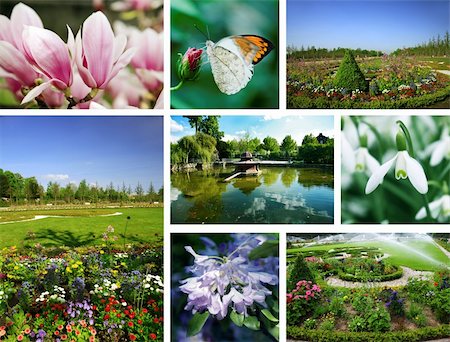 simsearch:400-05118067,k - Collage of different gardens and flowers Stock Photo - Budget Royalty-Free & Subscription, Code: 400-05129500