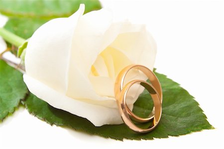 simsearch:400-05361582,k - Two golden rings beside white rose bud Stock Photo - Budget Royalty-Free & Subscription, Code: 400-05129989