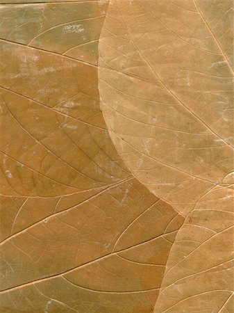 dry the bed sheets - old dry leaves surface texture Photographie de stock - Aubaine LD & Abonnement, Code: 400-05120356