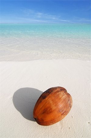 simsearch:841-08421450,k - Coconut lying on the beautiful beach near turquoise sea Stock Photo - Budget Royalty-Free & Subscription, Code: 400-05120905