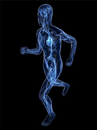 simsearch:400-04103615,k - 3d rendered illustration of a transparent running man with vascular system Foto de stock - Super Valor sin royalties y Suscripción, Código: 400-05122227