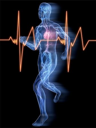 simsearch:400-04595056,k - 3d rendered illustration of a transparent running man with vascular system highlighted heart and heartbeat Photographie de stock - Aubaine LD & Abonnement, Code: 400-05122233