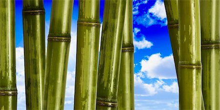 fine image of different bamboo, nature background Stock Photo - Budget Royalty-Free & Subscription, Code: 400-05122478